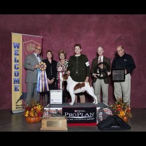 Meet your Posher, Brooke